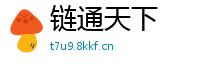 链通天下